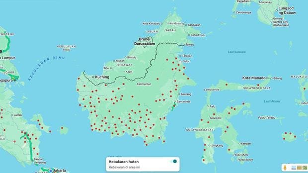Tampilan Google Maps Kamis (20/8/2026) menunjukkan ratusan lingkaran merah bertuliskan severe fire di Pulau Kalimantan, paling padat di Kalimantan Selatan.