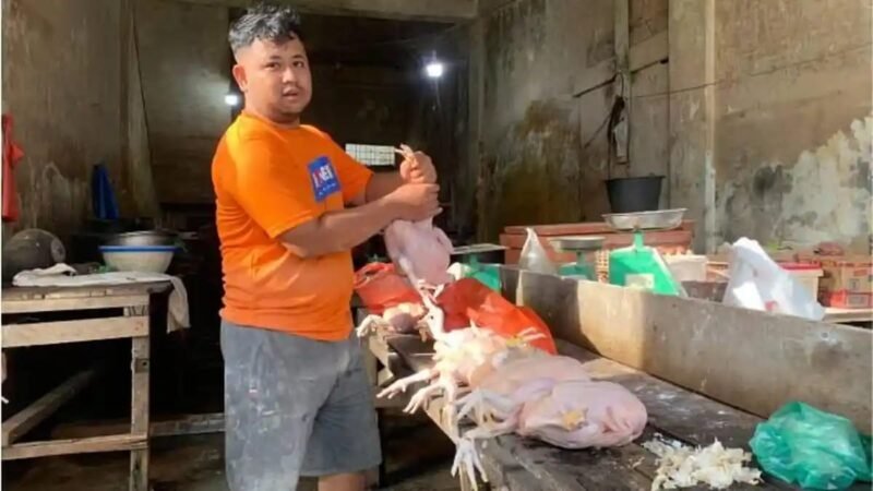 Kelangkaan dan lonjakan harga ayam potong di Pasar Pagi Kualasimpang, Aceh Tamiang, menghimpit pedagang kecil selama sepekan.