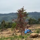 Resor Pengelolaan Hutan (RPH) Jumpa akan mendata seluruh pembukaan lahan baru di kawasan hutan produksi Kabupaten Bireuen untuk menginventarisasi titik perambahan dan mempermudah pencegahan.