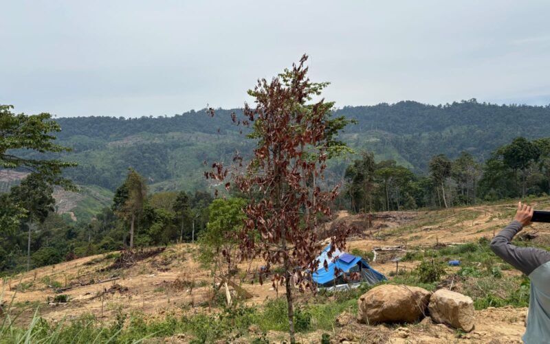 Resor Pengelolaan Hutan (RPH) Jumpa akan mendata seluruh pembukaan lahan baru di kawasan hutan produksi Kabupaten Bireuen untuk menginventarisasi titik perambahan dan mempermudah pencegahan.