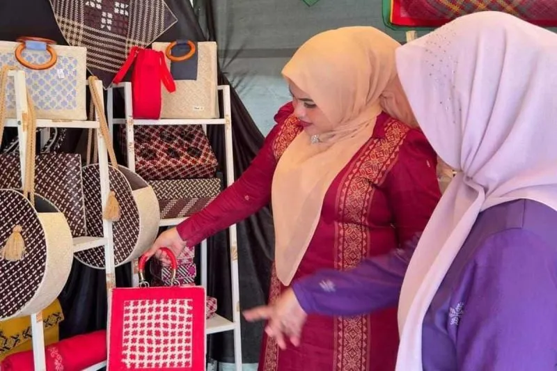 Pemerintah Kabupaten Aceh Timur mengusulkan dana desa kreatif sebesar Rp500 juta kepada Kementerian Ekonomi Kreatif (Kemenekraf) untuk pengembangan sektor kriya, khususnya kerajinan anyaman tikar pandan dan kain tenun tradisional.