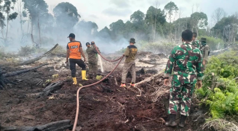 Penanganan karhutla di Desa Ujung Mangki, Kecamatan Bakongan, Aceh Selatan memasuki hari ketujuh, Kamis (3/9/2026).
