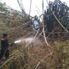 Tiga lokasi di Kabupaten Aceh Besar dilanda kebakaran hutan dan lahan pada Senin (31/8/2026).