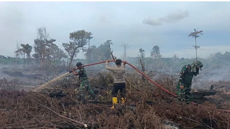 Tim gabungan TNI, Polri, BPBD, TNGL, dan masyarakat setempat melakukan pendinginan dan penyisiran titik asap pada lahan yang terbakar di Gampong Drien, Kecamatan Bakongan, Kabupaten Aceh Selatan, Senin (31/8/2026).