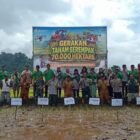 Kabupaten Simeulue ditunjuk mewakili Provinsi Aceh dalam Gerakan Tanam Serempak Nasional yang diprakarsai Kementerian Pertanian RI.
