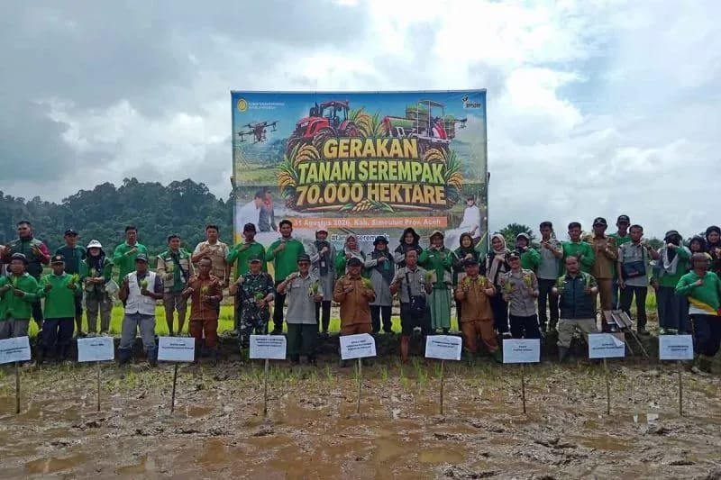 Kabupaten Simeulue ditunjuk mewakili Provinsi Aceh dalam Gerakan Tanam Serempak Nasional yang diprakarsai Kementerian Pertanian RI.