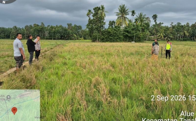 Seorang warga Gampong Cot Dah, Kecamatan Tanah Luas, Aceh Utara, Sofyan (43), ditemukan meninggal dunia di persawahan, Rabu (2/9/2026) pukul 15.15 WIB.