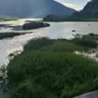 Warga Kampung Sanehen dan Wih Sagi Indah, Aceh Tengah, kecewa karena sengketa lahan dengan PT PLN terkait PLTA Peusangan I dan II belum selesai sejak 1998.