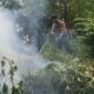 Polri menetapkan 113 tersangka kasus kebakaran hutan dan lahan hingga 4 September 2026.