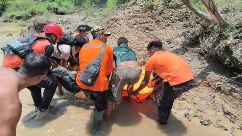 Muhammad Dani (26) warga Kebun Tempeun, Aceh Timur, ditemukan meninggal Sabtu (5/9/2026) usai diterkam buaya saat menyeberangi Sungai Peureulak, Jumat (4/9/2026).