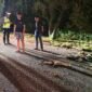 Seorang pelajar M. Jufriadi (17) tewas dalam kecelakaan saat uji kecepatan di Jalan TPI Lampulo, Kuta Alam.