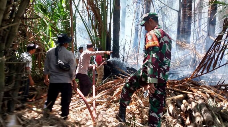 Kapolres Aceh Besar AKBP Chairul Ikhsan menegaskan patroli terpadu dan pengawasan ketat jadi langkah utama menekan potensi karhutla, Senin 7/9/2026.