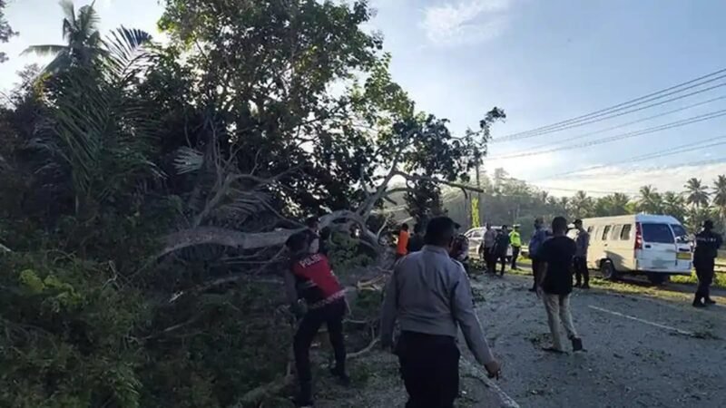 Personel Polres Pidie evakuasi pohon tumbang di Jalan Banda Aceh-Medan, Gampong Gintong, Kecamatan Grong-Grong, Selasa 8/9/2026 pukul 03.30 WIB.