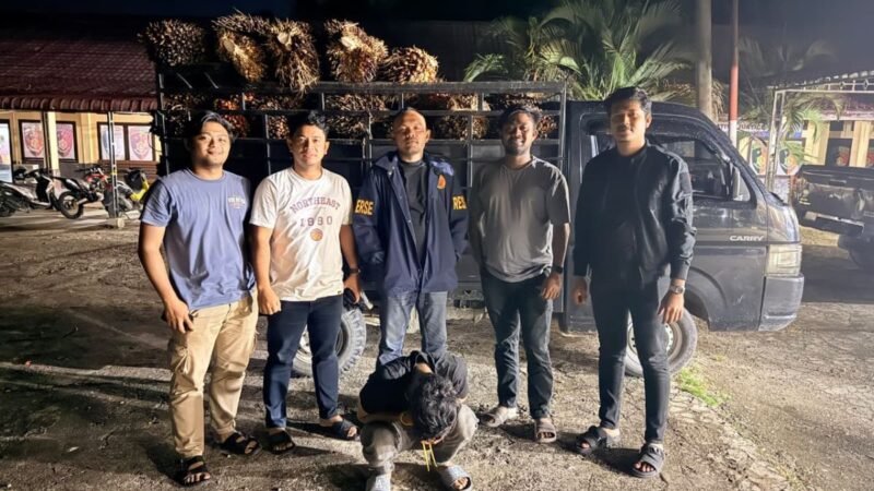 Satreskrim Polres Blangpidie menangkap MF (19), warga Dusun Ujong Krueng Desa Keude Baro, Kecamatan Kuala Batee, Abdya, atas dugaan pencurian buah kelapa sawit.