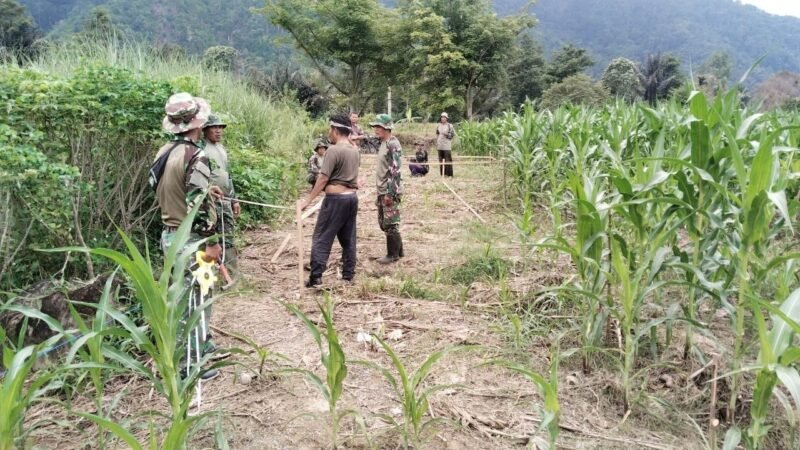Kodim 0108/Agara melalui Babinsa Posramil Lawe Sumur mendampingi pengukuran lokasi pembangunan Jembatan Gantung Perintis di Desa Buah Pala, Kecamatan Lawe Sumur, Aceh Tenggara, Minggu 13/9/2026.