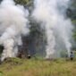 Deninteldam IM temukan ladang ganja seluas 1,5 hektare di pegunungan Desa Lambada Seulimuem Aceh Besar, Kamis (17/9/2026). 