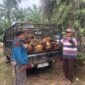 Apkasindo Aceh minta bupati dan wali kota wilayah barat selatan Barsela panggil pengelola PKS yang beli TBS di bawah harga ketetapan Pemerintah Aceh.