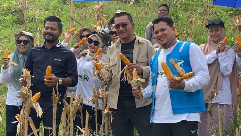 Kelompok Tani Ujong Jaya Desa Ujong Pacu Kecamatan Muara Satu Lhokseumawe catat keberhasilan panen sekitar satu ton jagung pakan ternak dari lahan kelolaan selain jagung pakan kelompok proyeksikan panen hingga lima ton dari penanaman sekitar 3.000 batang jagung manis.