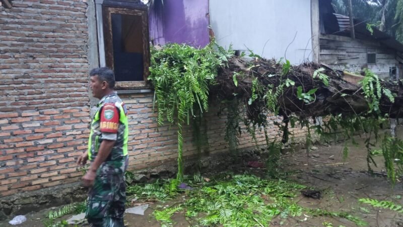 Rumah warga Desa Kain Golong Simpang Kanan Aceh Singkil rusak parah tertimpa pohon sawit 6 meter tumbang diterjang angin kencang Selasa 29 September 2026 pukul 17.10 WIB.
