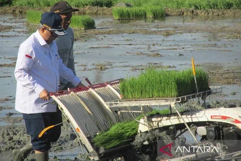 Pemkab Pidie targetkan luas tanam padi musim rendeng 2026-2027 capai 24.713 hektare dengan produksi 153 ribu ton gabah kering panen GKP.