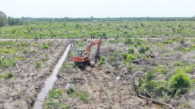 Yayasan Konservasi Alam Timur Aceh YAKATA desak APH tindak perusakan dan pembukaan hutan produksi berekosistem mangrove 110 hektare di Kampung Pusung Kapal Kecamatan Seruway Aceh Tamiang.
