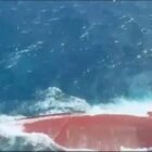 Kapal kargo Virgo Transport 8 terbalik di perairan Laut Jawa pada Minggu (13/9) dini hari. Diduga karena dihantam gelombang tinggi, tim SAR gabungan kini masih mencari dan mengevakuasi puluhan ABK di lokasi kejadian.