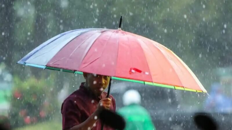 BMKG 8/10/2026: Nagan Raya pagi-malam berawan, siang hujan ringan. Suhu 24-32°C, kelembapan 70-98%, angin 25 km/jam barat laut. Gelombang laut 1,5-2,5 m.