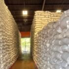Perum Bulog cetak rekor pengadaan beras tertinggi sepanjang sejarah 4.115.014 ton per 8 Oktober 2026 atau 102,88% dari target pemerintah 4 juta ton, kata Dirut Ahmad Rizal Ramdhani Jumat 9/10/2026.
