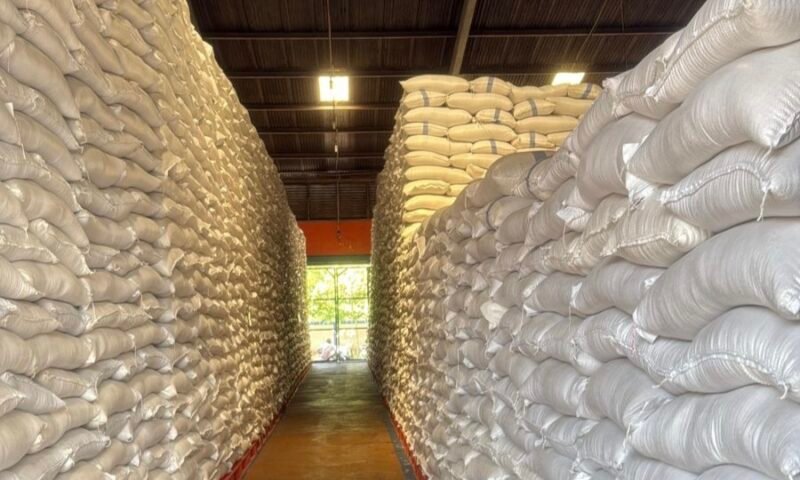Perum Bulog cetak rekor pengadaan beras tertinggi sepanjang sejarah 4.115.014 ton per 8 Oktober 2026 atau 102,88% dari target pemerintah 4 juta ton, kata Dirut Ahmad Rizal Ramdhani Jumat 9/10/2026.