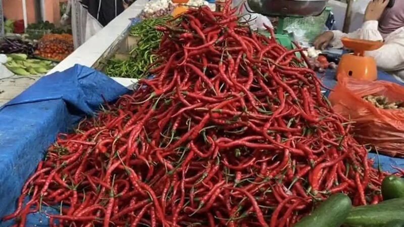 Harga cabai merah di Pasar Inpres Tapaktuan, Aceh Selatan, melonjak ke Rp75-80 ribu/kg dari sebelumnya Rp50 ribu, Sabtu (10/10/2026).