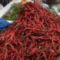 Harga cabai merah di Pasar Inpres Tapaktuan, Aceh Selatan, melonjak ke Rp75-80 ribu/kg dari sebelumnya Rp50 ribu, Sabtu (10/10/2026).