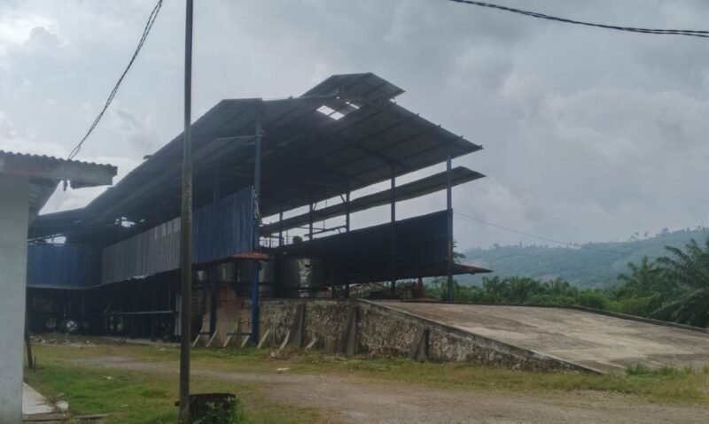 SiPAK desak DPRK bentuk Pansus telusuri kerja sama PKS milik Pemda di Krueng Luas Trumon Timur antara PT Pemalang Agro Wangi dan Politeknik Aceh Selatan.