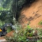 Balai Pelaksanaan Jalan Nasional (BPJN) mengerahkan satu unit ekskavator untuk membersihkan material kayu dan lumpur yang menutupi badan jalan nasional Kutacane–Gayo Lues di Desa Gurah, Kecamatan Ketambe, Kabupaten Aceh Tenggara, Senin (12/10/2026).