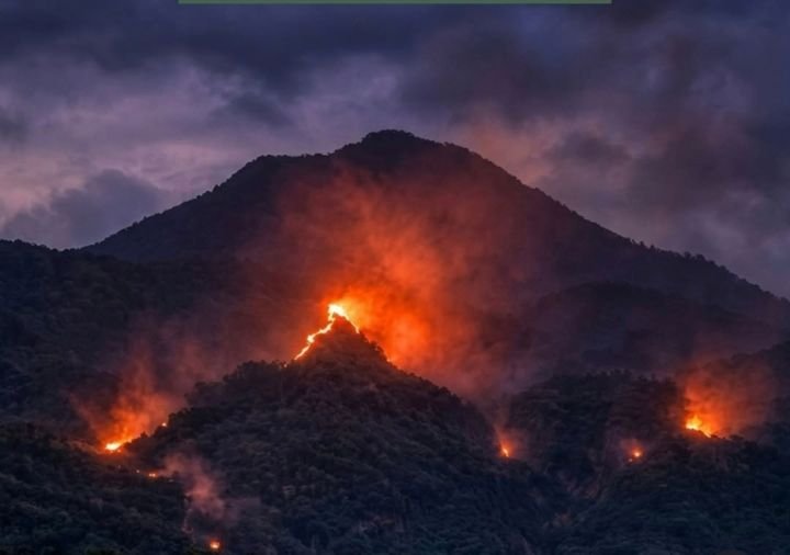 56 personel gabungan (Polhut, Manggala Agni, MPA, IOF, relawan) dikerahkan melakukan pemadaman darat dengan sekat bakar, penimbunan bara, dan pemotongan pohon tumbang, Selasa 20/10/2026